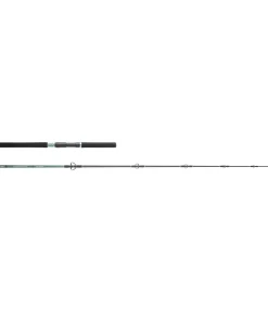 HEARTY RISE Monster Game Tuna 2,30m 30-90g Salzwasser-Meeresrute Spinnrute