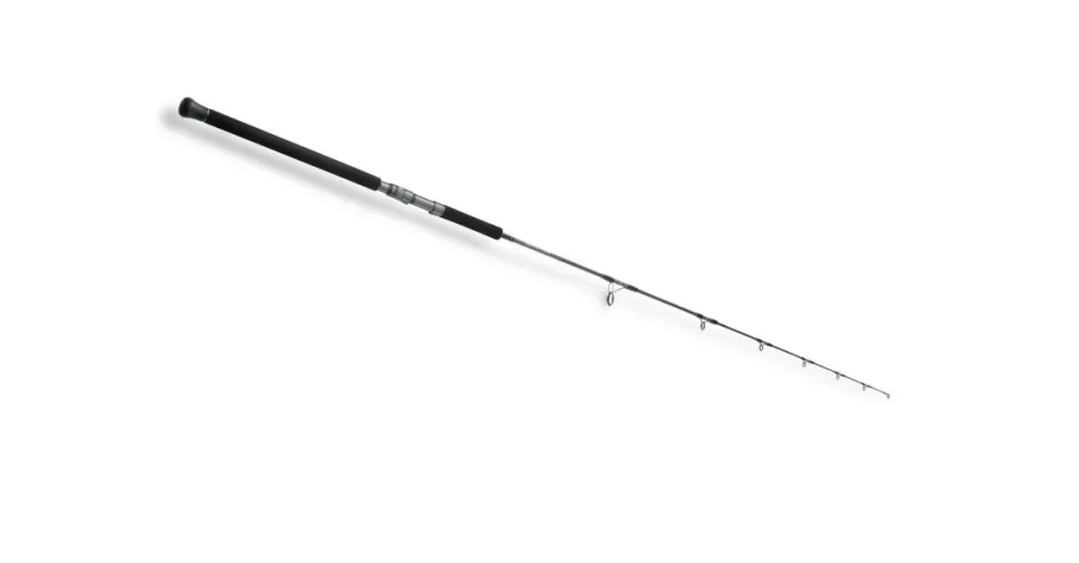 Hearty Rise Sky Walker Jigging Travel 1,63m 20-200g Reise Spinnrute