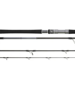 Hearty Rise Skywalker 2,50m / 50-150g Popping Salzwasserrute