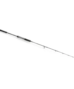 HEARTY RISE SKYWALKER SLOW JIG Spin 1,91m 170-340g