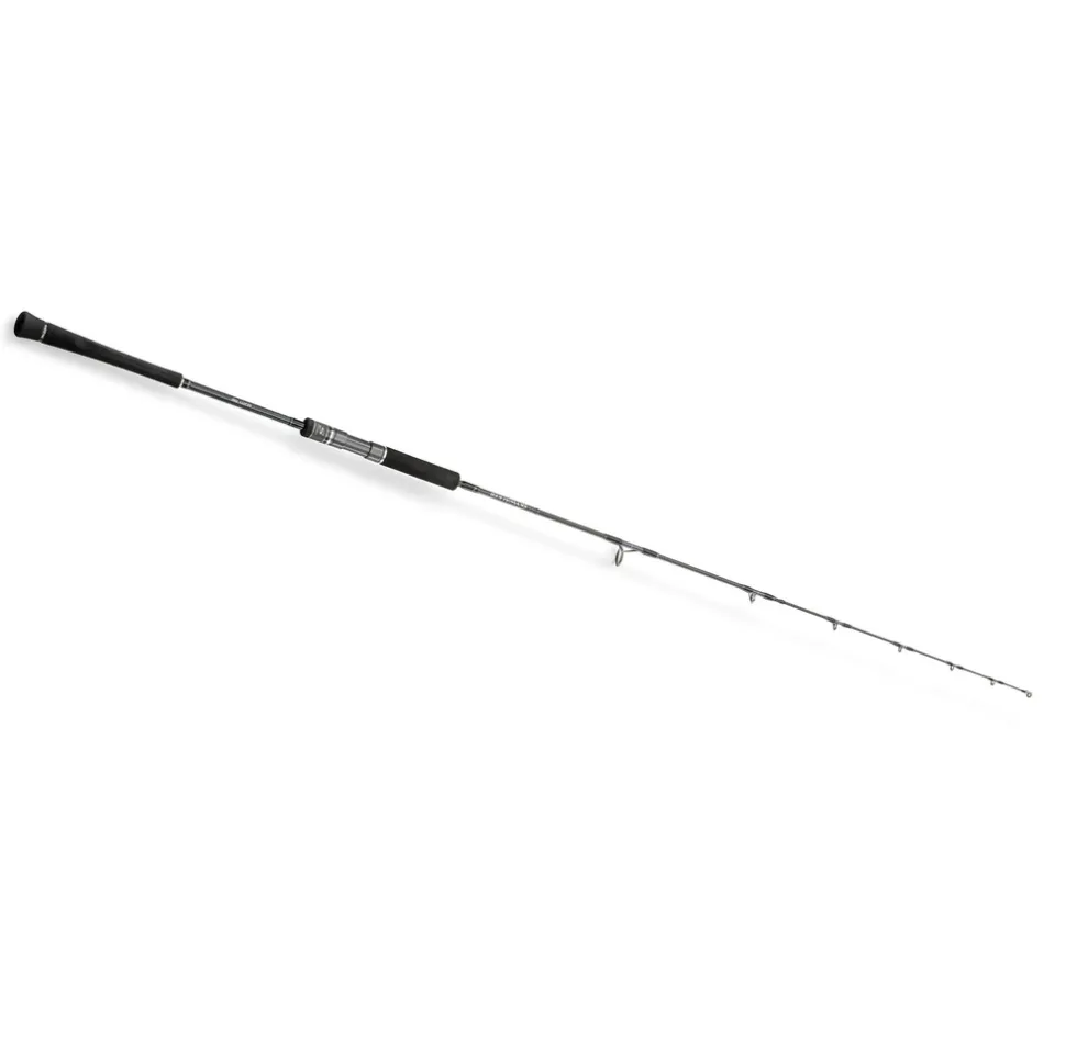 HEARTY RISE SKYWALKER SLOW JIG Spin 1,91m 170-340g