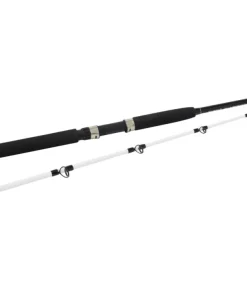 Kinetic Witcher Salt CC 6" 1,80m P8 20-30lbs 100-400g Meeresrute Norwegenangeln