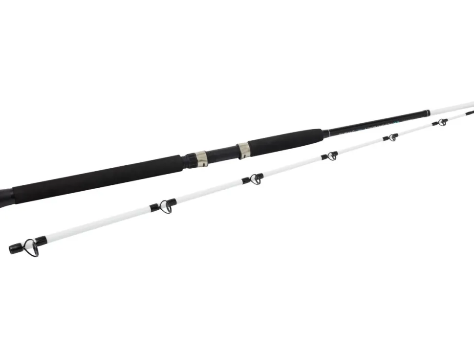 Kinetic Witcher Salt CC 6" 1,80m P8 20-30lbs 100-400g Meeresrute Norwegenangeln