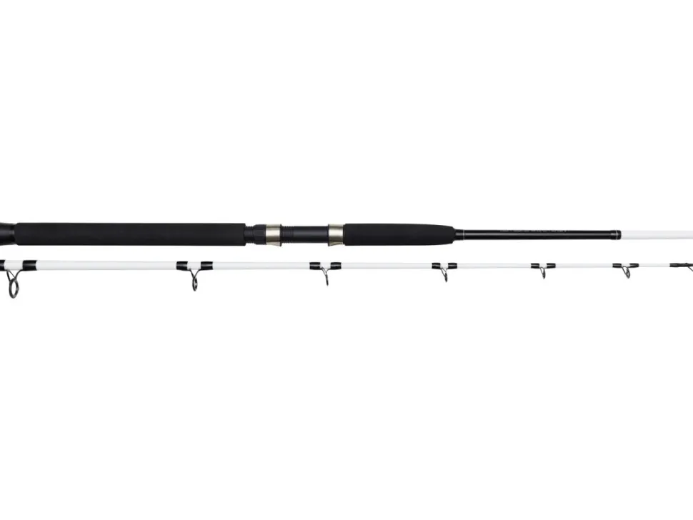 Kinetic Witcher Salt CC 6" 1,80m P8 20-30lbs 100-400g Meeresrute Norwegenangeln