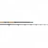 Leitner Wallerrute  EBRO 100-450g, 305 cm
