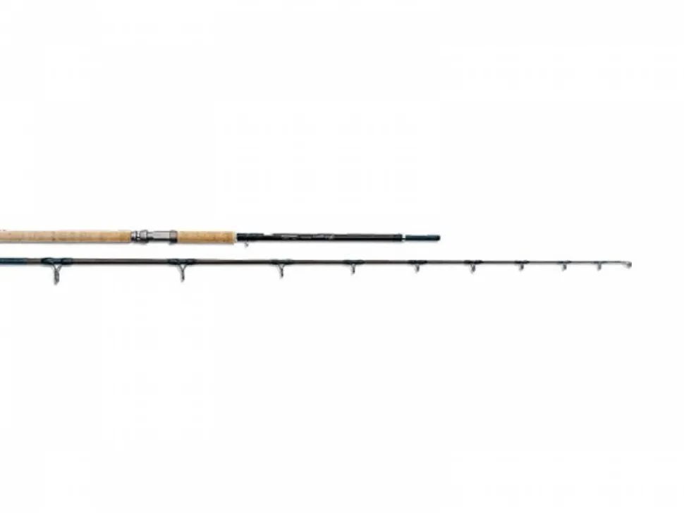 Leitner Wallerrute EBRO 100-450g, 305 cm