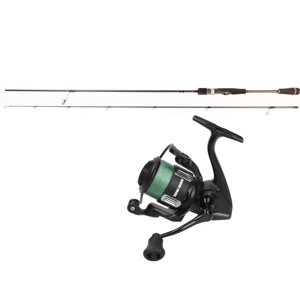 Mostal Taipan Spinncombo 2,40m / bis 40g + 3000FD + Geflochtene Schnur Zander