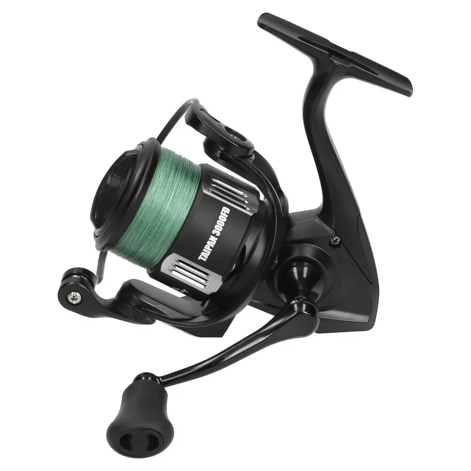 Mostal Taipan Spinncombo 2,40m / bis 40g + 3000FD + Geflochtene Schnur Zander