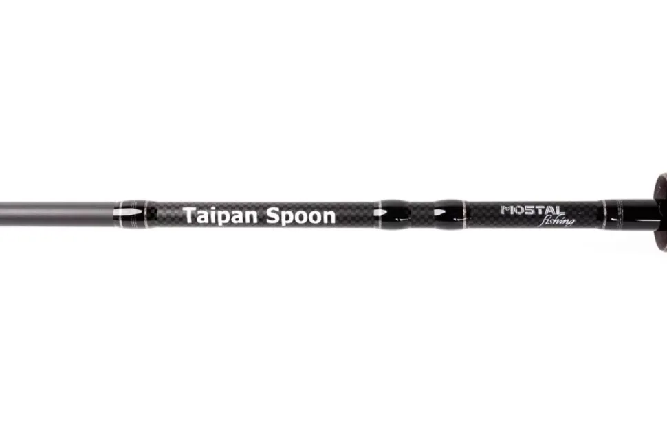 Mostal Taipan Spinncombo 2,00m / 1-7g + Carbon 800FD + Geflochtene Schnur Spooncombo