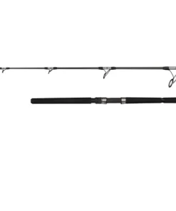 PENN ALLY II Popping 8FT2 20-150g/80lb 1+1Sec