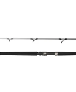 PENN ALLY II Popping 8FT2 20-150g/80lb 1+1Sec