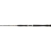 Penn Legion Cat Gold Inliner 2,10m / bis 250g Welsrute Sale