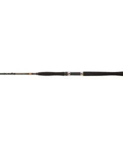 Penn Legion Cat Gold Inliner 2,10m / bis 250g Welsrute Sale