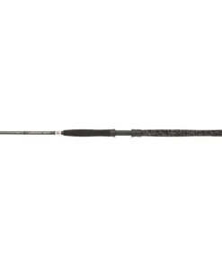 Penn Legion Cat Silver RVR Monster 2,90m / bis 450g Welsrute Wallerrute