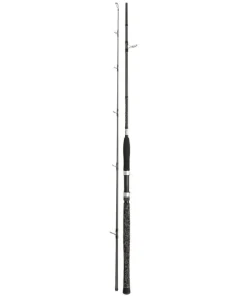 Penn Legion Cat Silver Spin 270 2,70m 40-160g Welsrute Spinnrute