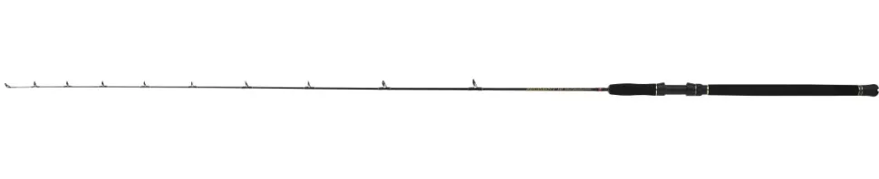Penn Regiment III SLD Carbon Boat 2,30m / 6-12lb Bootsrute Meeresrute