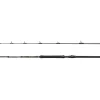PENN REGIMENT IV Boat Braid 8FT2IN F 20-30lb 2Sec Conv