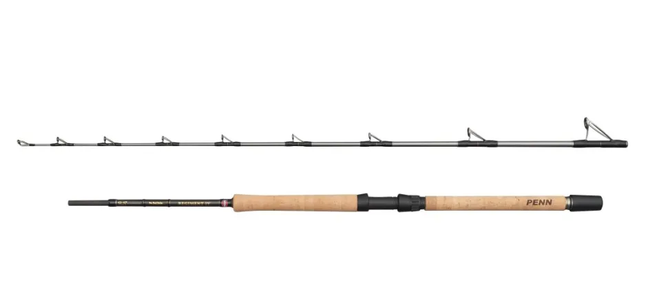 PENN REGIMENT IV Pro Boat 2.10m F 20-30lb 2Sec Conv