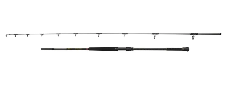 Penn Regiment IV Uptide 3,04m F 70-300g Meeresrute
