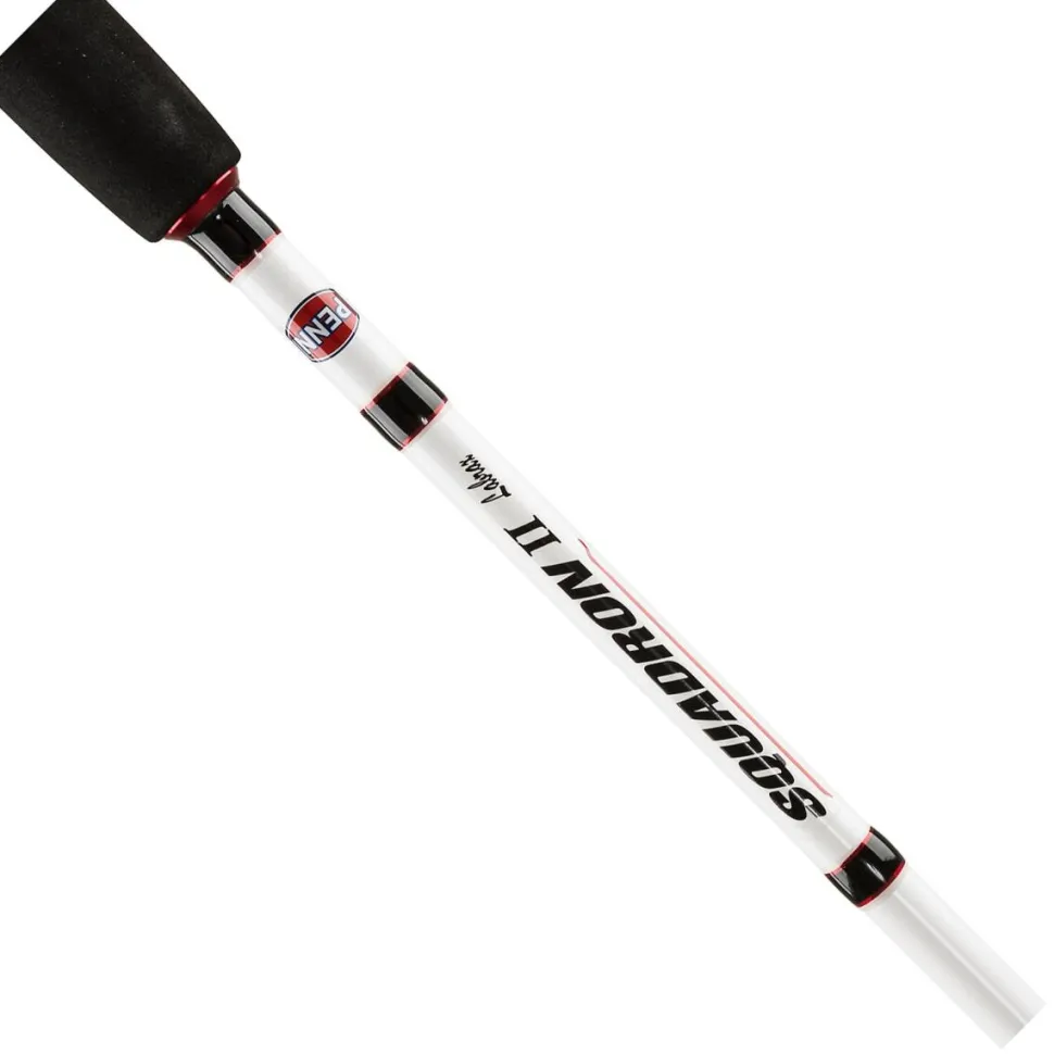 Penn SQUADRON II LABRAX SHORE 272 20-50G