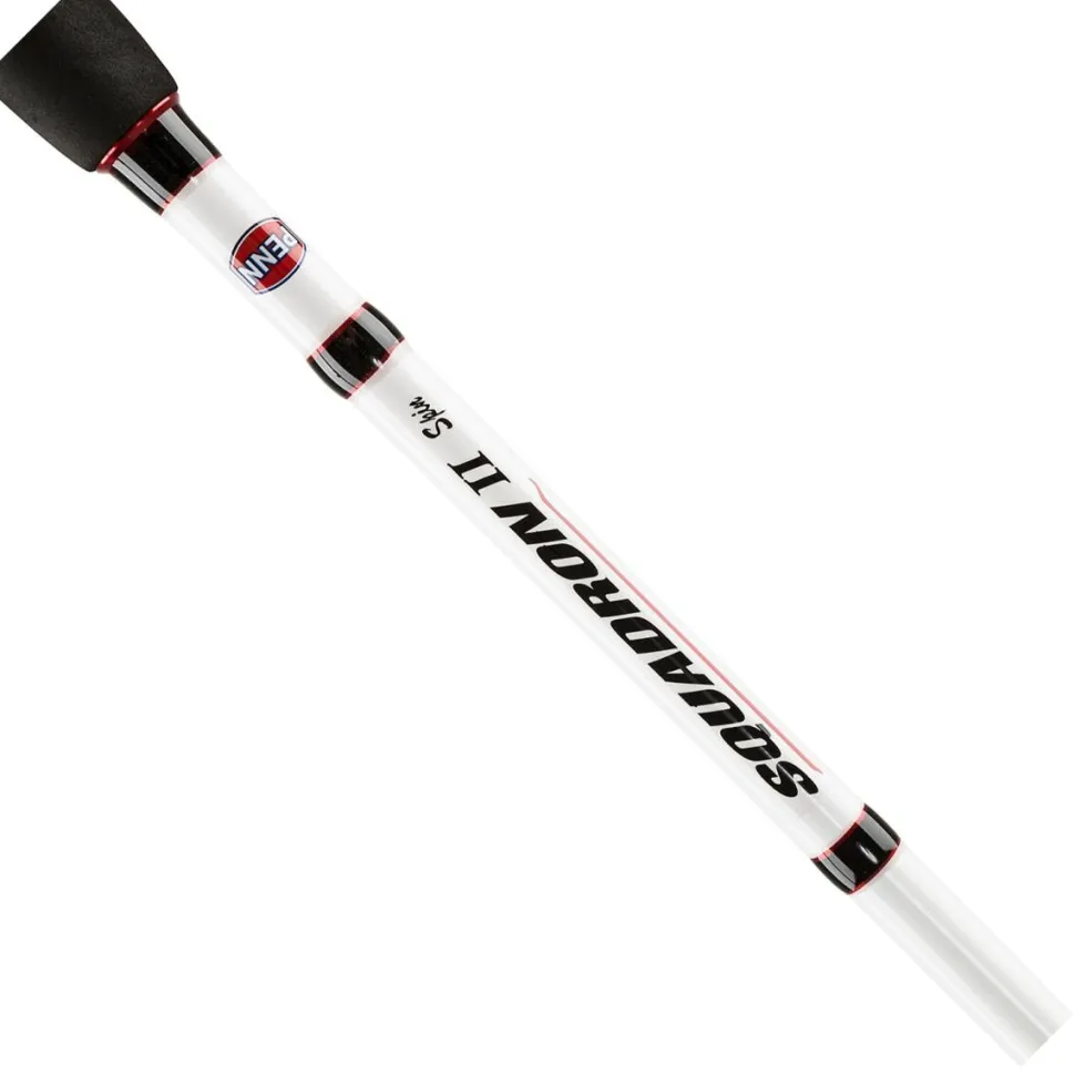 Penn SQUADRON II SW SPIN 275 20-50G