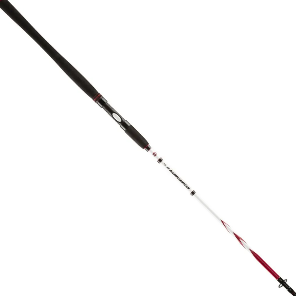 Penn SQUADRON II SW SPIN 275 20-50G