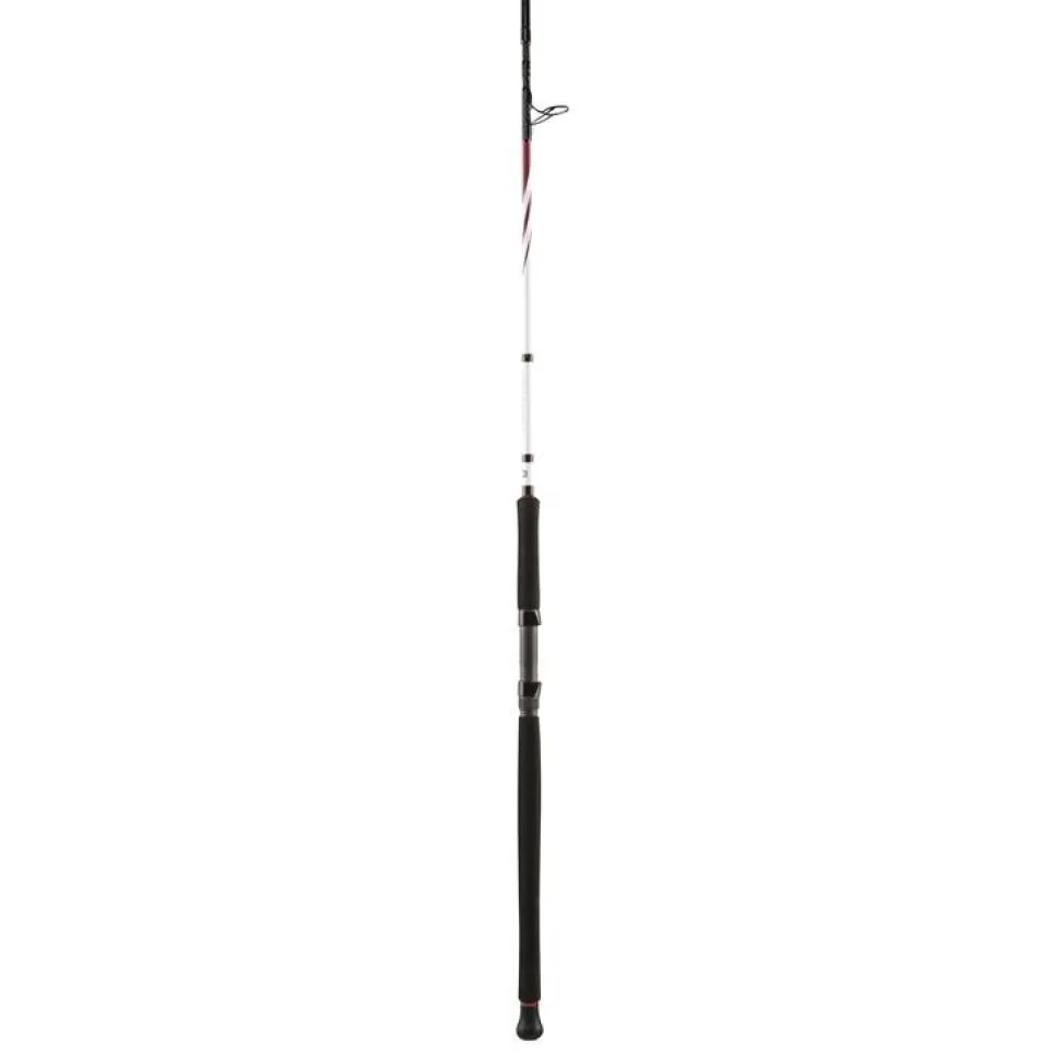 Penn SQUADRON II TROLLING CF 242 50-160G
