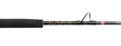 PENN Squall II 50-100LB 5ft6