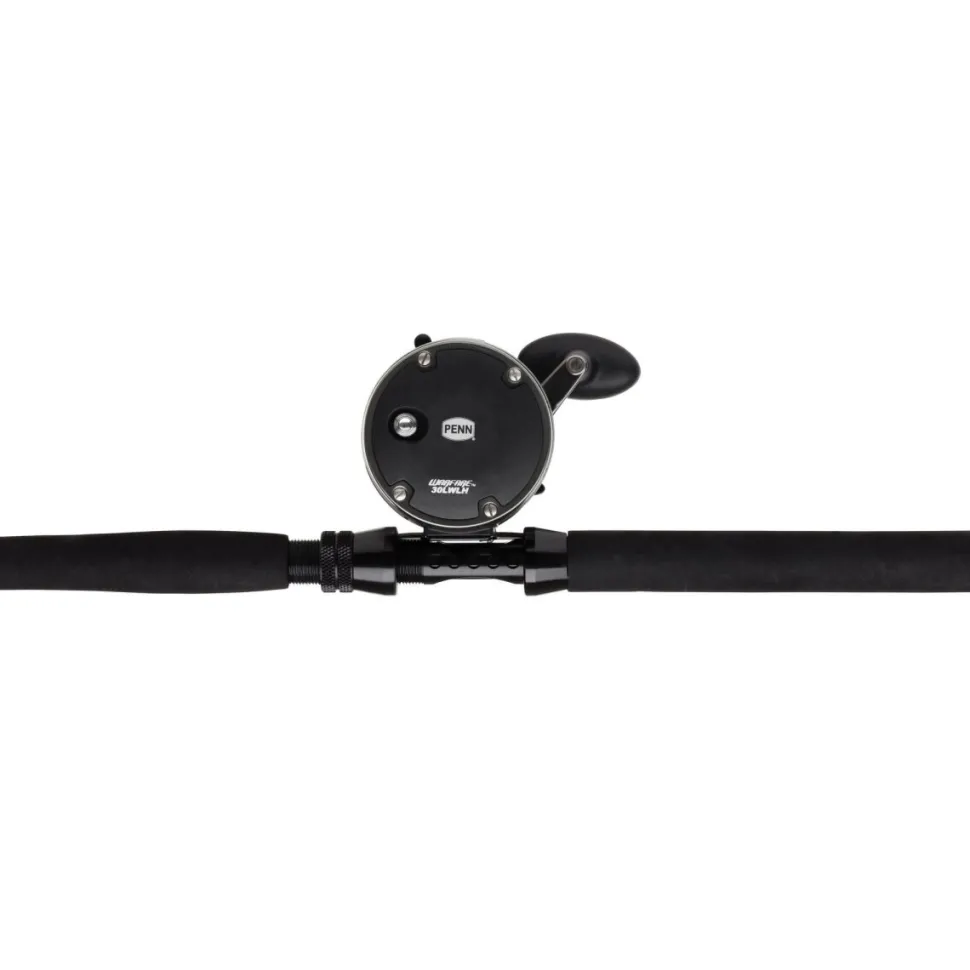 Penn Warfare Combo 2,13m / 30lb + 30LWLH Meeresrute Norwegen-Combo Set