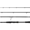 Savage Gear Revenge SG2 Heavy Game 2,43m / 30-80g Travel 4-teilig Reiserute