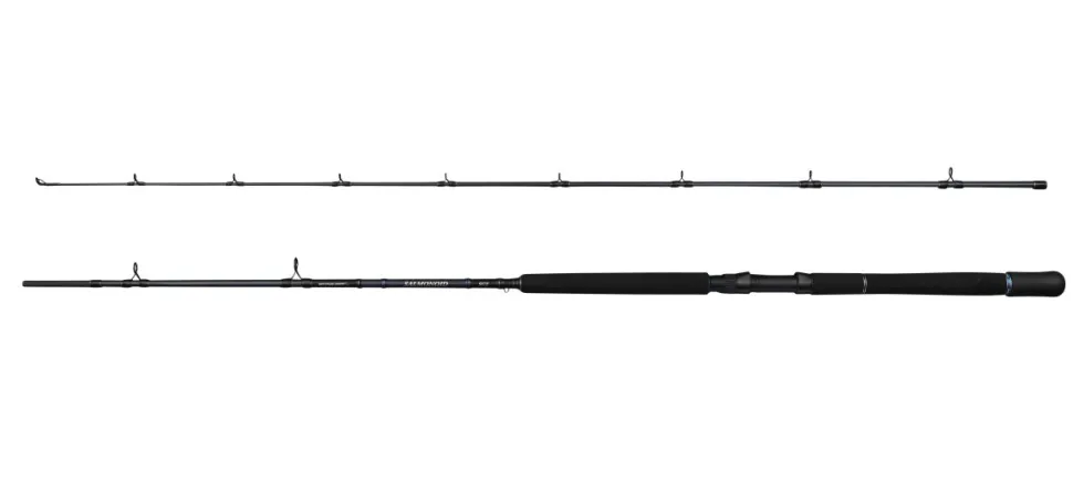 Savage Gear SALMONOID SG2 Trolling 2p Bootsruten Meeresruten