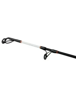 Shimano Beastmaster Catfish Static 3,00m 400g Wallerrute Welsrute