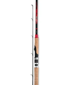 Shimano Sienna Spinning Combo 2,69m / 14-42g + 3000 Rolle + Monoschnur