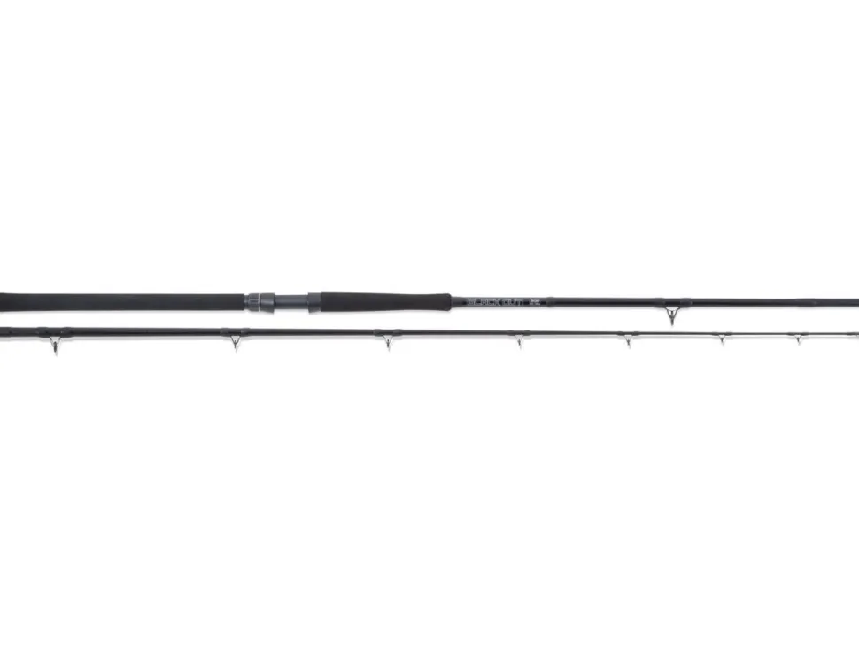 Sänger Uni Cat Black Out 2,70m / 250-1000g Welsrute Waller Rute Extrem Stark