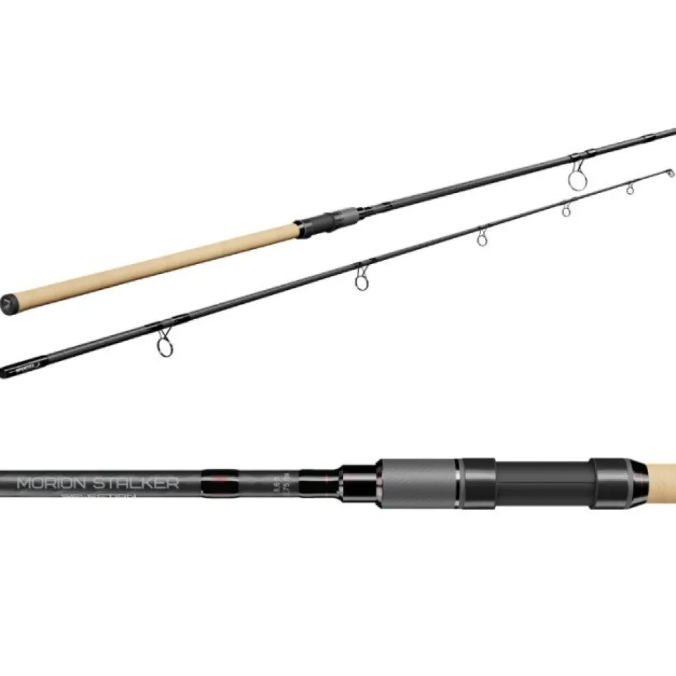 Sportex Morion Stalker Selection 10" 3,00lb Karpfenrute Karpfenangeln