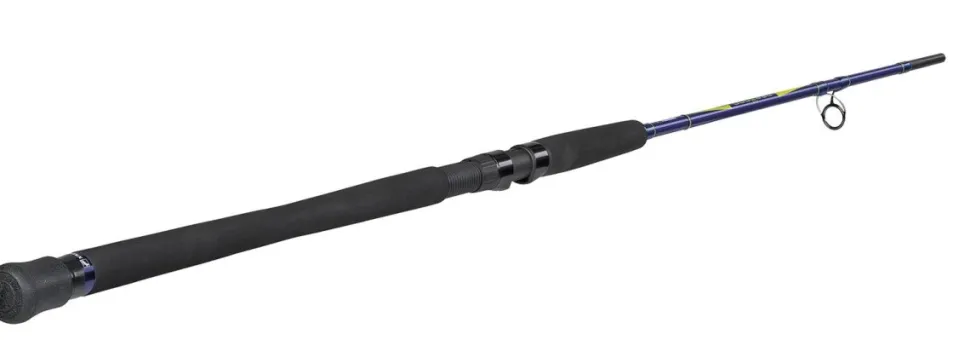 Sportex Neptoon Trolling Länge 2,40m Wurfgewicht 10-20lbs