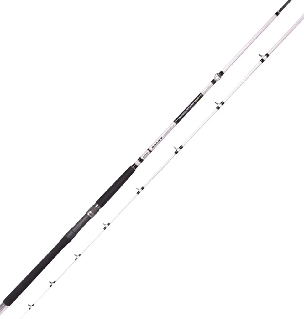 Spro Salty Beast NANO HEAVY JIG BAIT 2,70m 100-250g Cast Pilk- und Bootsrute