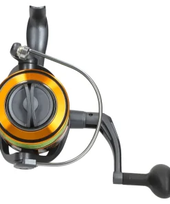 Wallercombo Spezial Cormoran Big Cat Long Range 3.00m / 200-600g + EFT Waller Pro 8000 CO