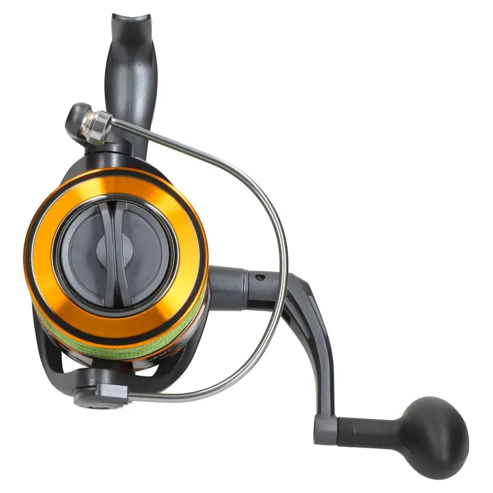 Wallercombo Spezial Cormoran Big Cat Long Range 3.00m / 200-600g + EFT Waller Pro 8000 CO