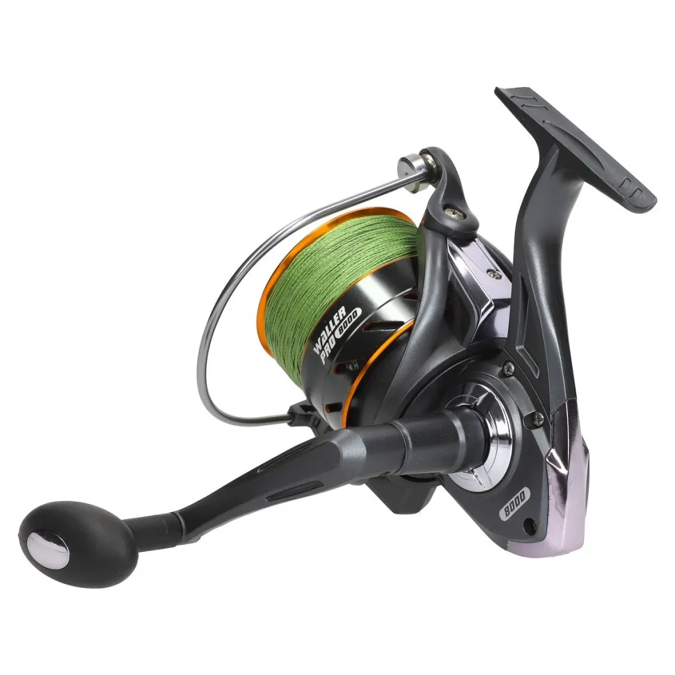 Wallercombo Spezial Cormoran Big Cat Long Range 3.00m / 200-600g + EFT Waller Pro 8000 CO