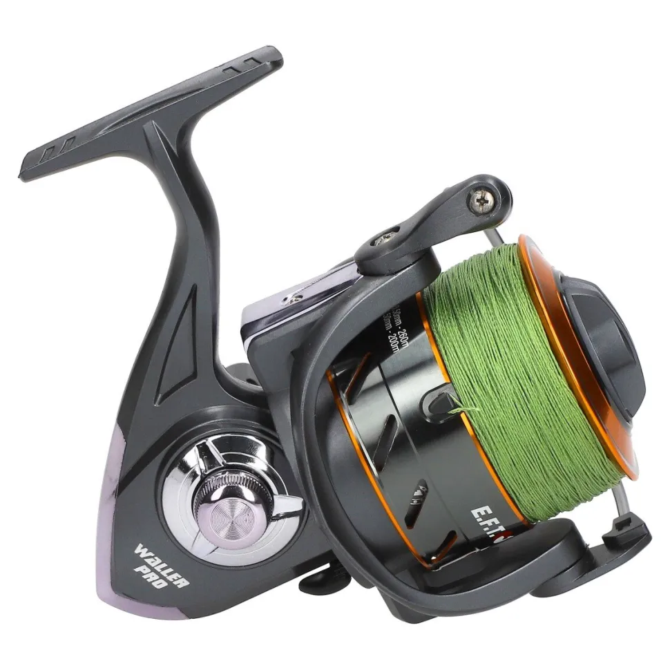Wallercombo Spezial Cormoran Big Cat Long Range 3.00m / 200-600g + EFT Waller Pro 8000 CO
