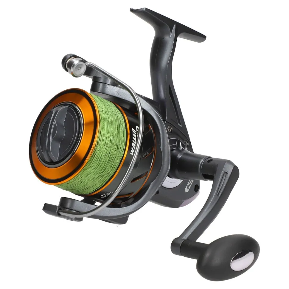 Wallercombo Spezial Cormoran Big Cat Long Range 3.00m / 200-600g + EFT Waller Pro 8000 CO