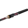 Westin W6 Powershad 9" / 2,70m H 20-60g 2Sec Spinnrute