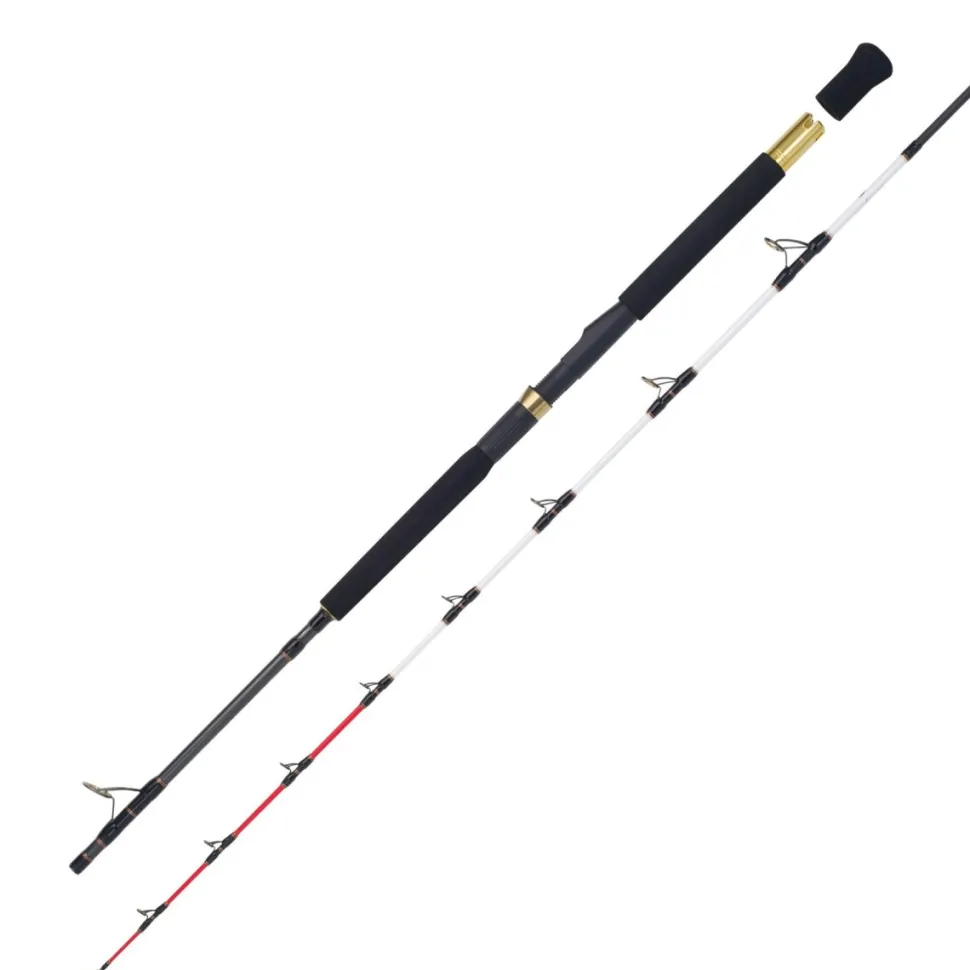 WFT Adventure Deep Water 2,15m 50lbs 200-1200g Bootsrute Meeresrute für Elektro-Rolle