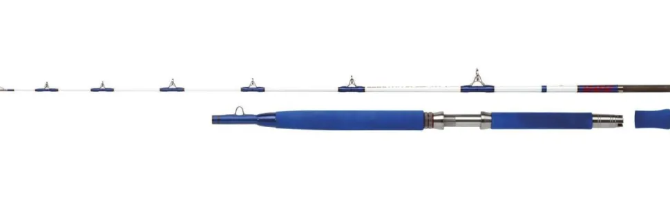 WFT Electra Speed Jig 2,0m, 2tlg. Bootsrute Meeresfischen Norwegen
