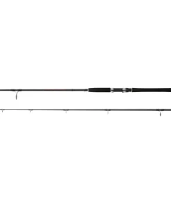 WFT High Carbon Never Crack II 2,75m 30-120g
