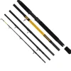 WFT Never Crack Big Cat 5tlg. 200-1000g 2,60m