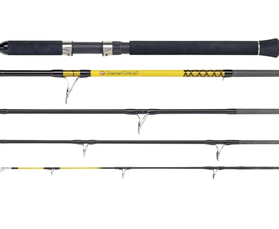 WFT Never Crack Heavy Spin 2,60m / 100-400g / 5-teilig Reiserute Meeresrute